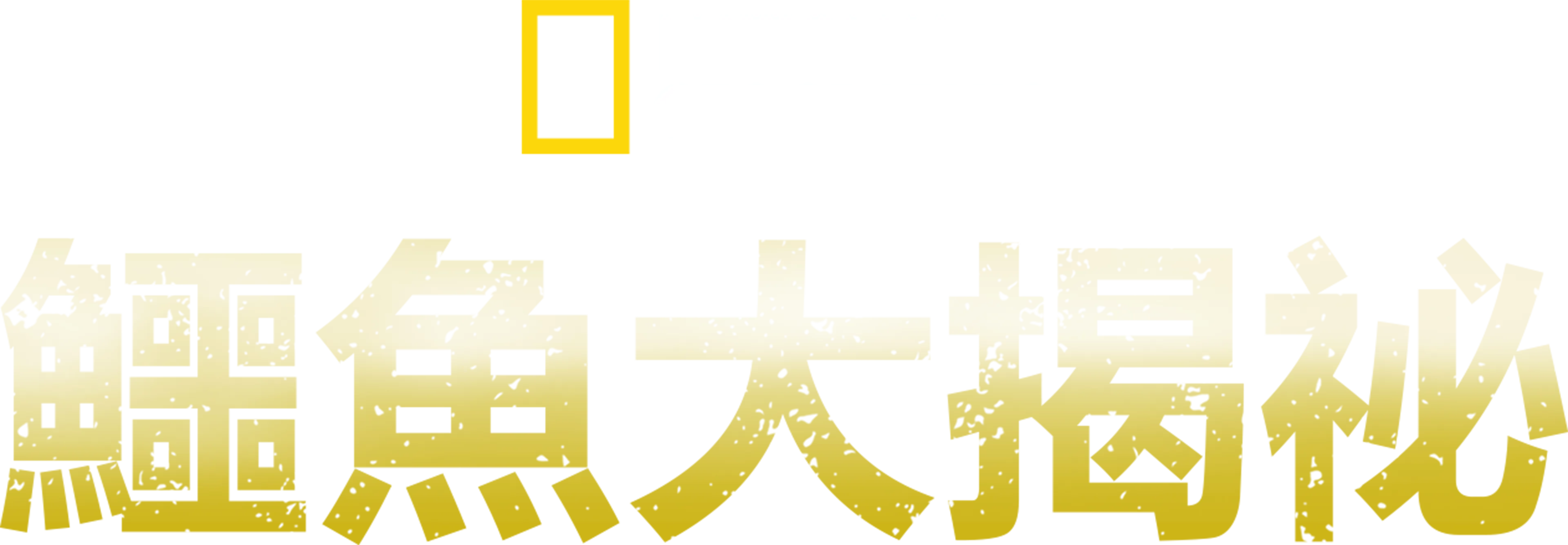 鱷魚大揭祕