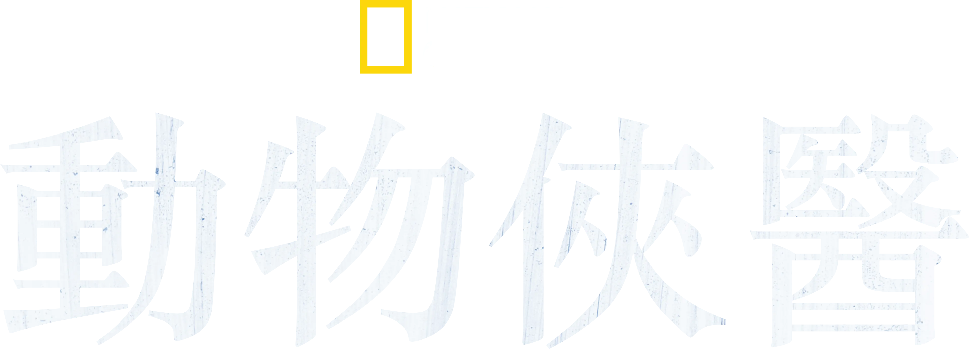 動物俠醫