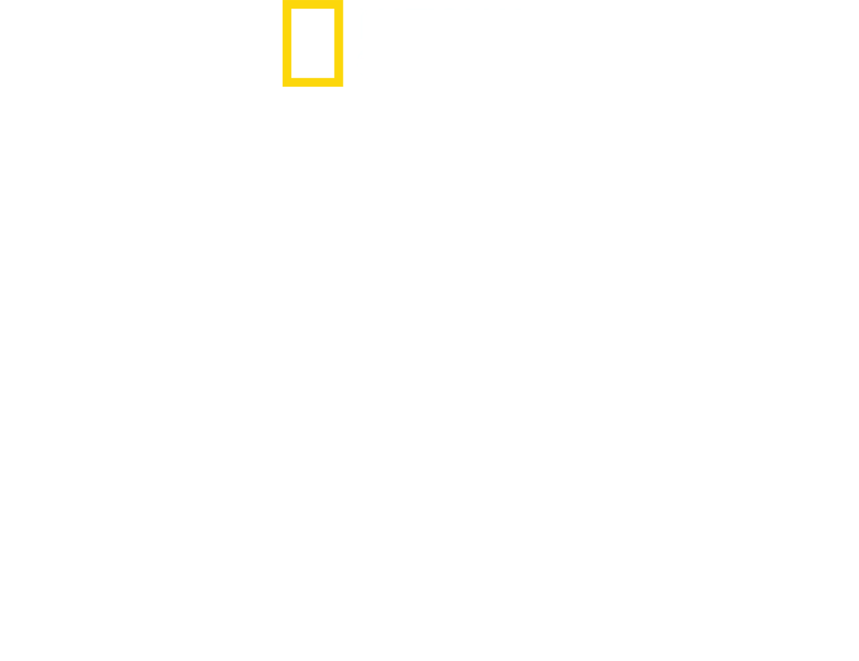 피라미드의 사라진 무덤