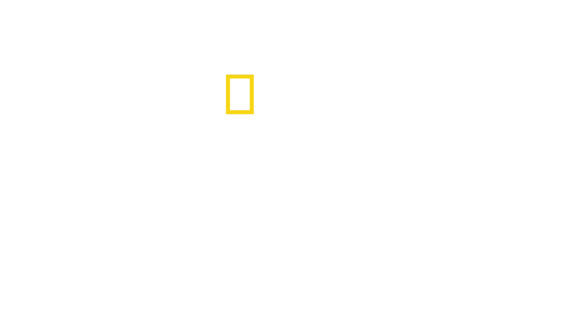 Reporters de l’ombre