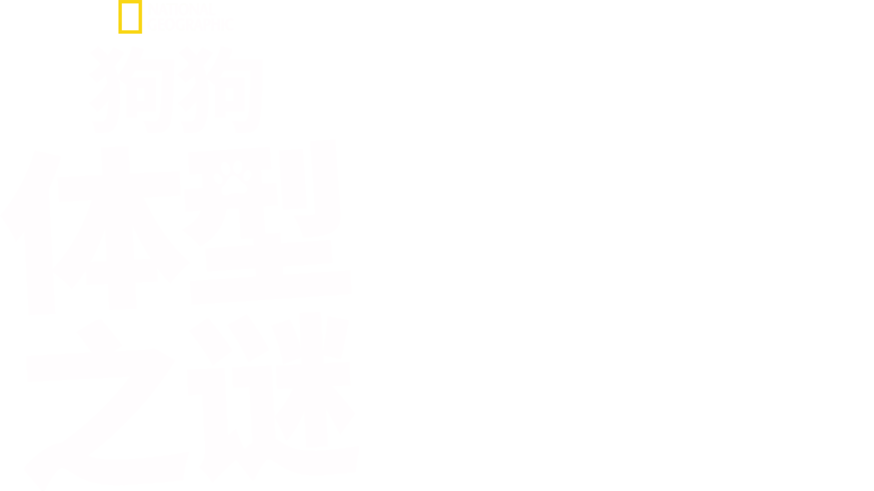 狗狗体型之谜