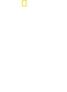 狗狗体型之谜