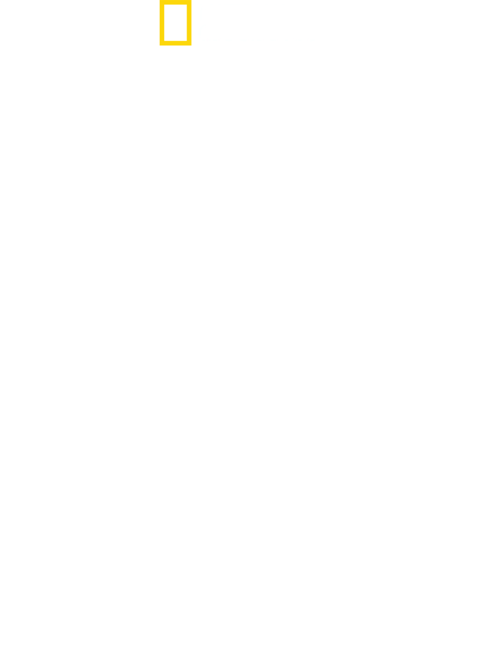 狗狗体型之谜