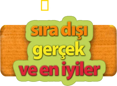 Sıra Dışı, Gerçek ve En İyiler