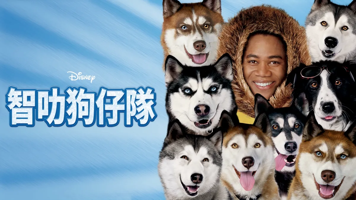 觀看智叻狗仔隊 | Disney+