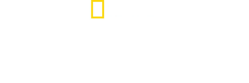 Οι Γενναίες της Ακασίνγκα
