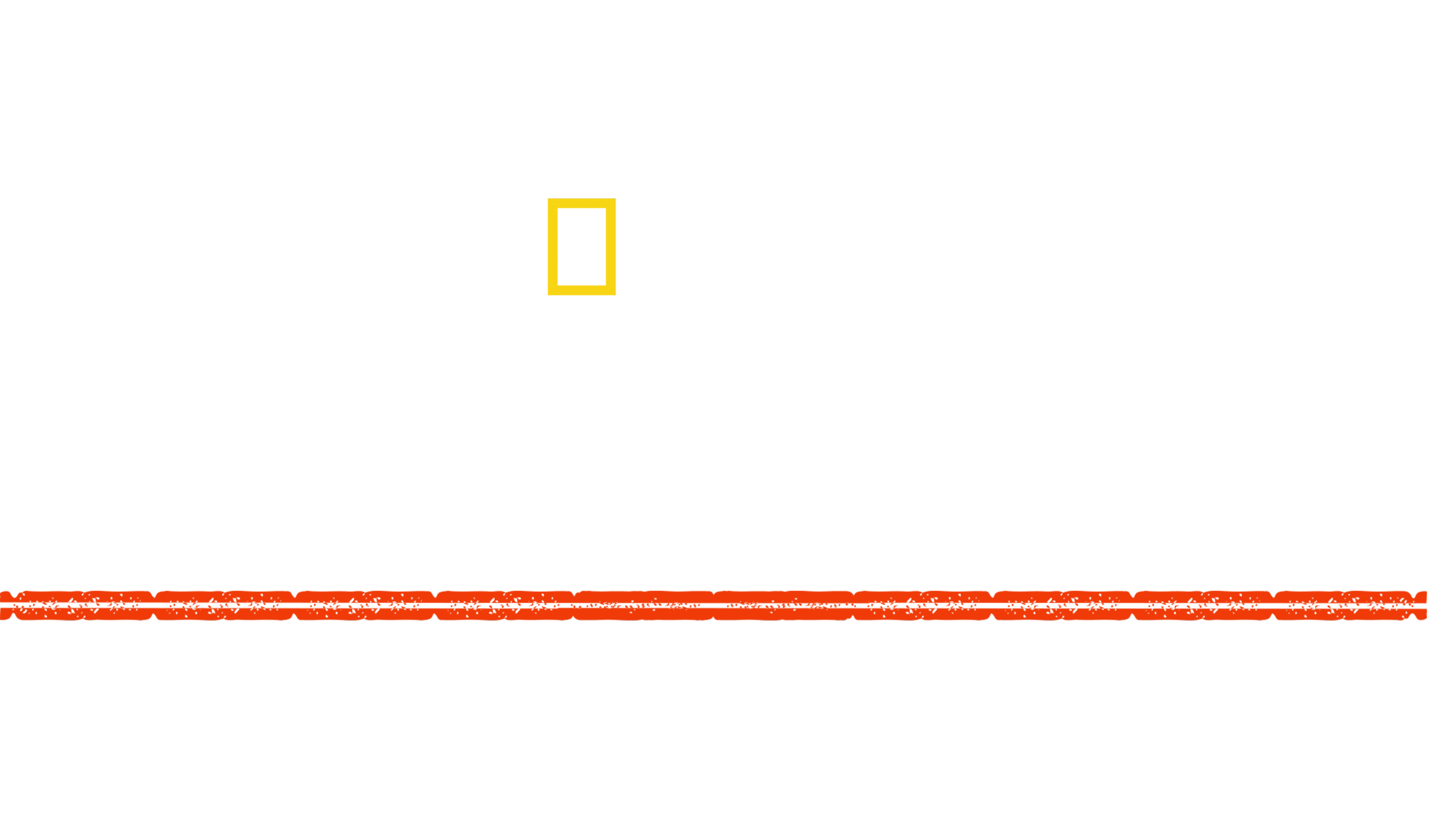 希特勒征战西方