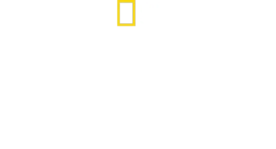 Jacques Cousteau: Il figlio dell'oceano