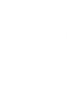 28 semanas después