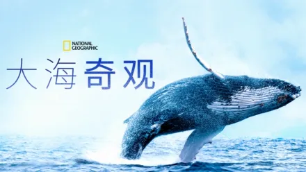 thumbnail - 大海奇观