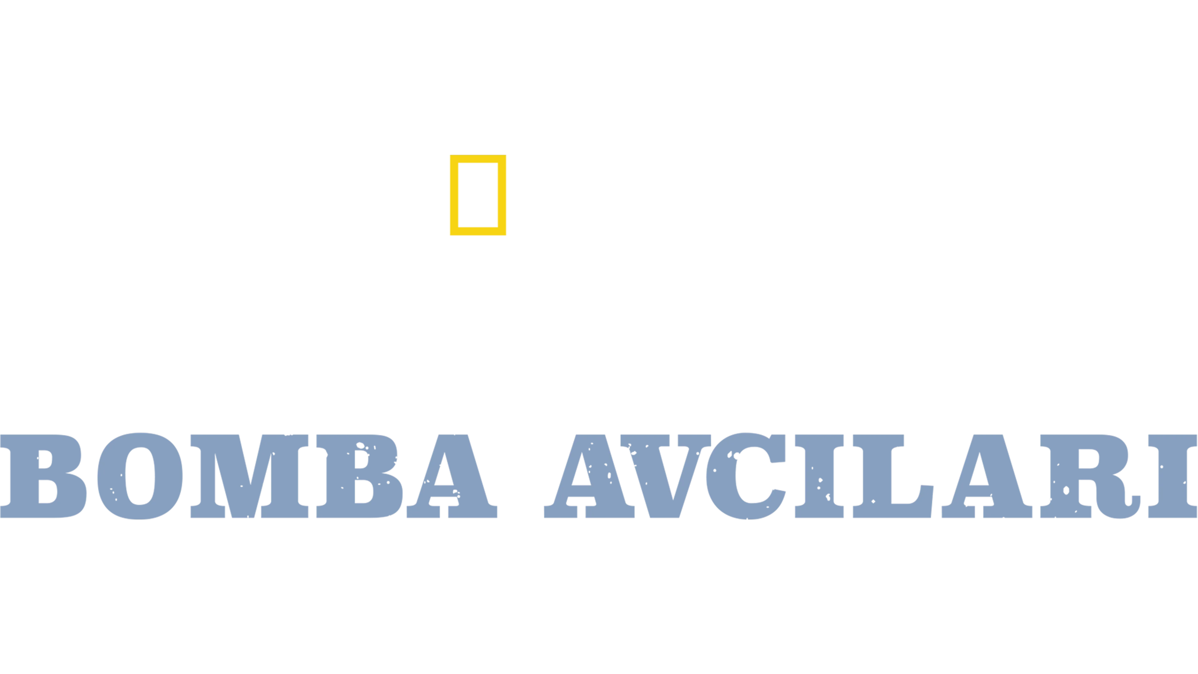 İkinci Dünya Savaşı Bomba Avcıları