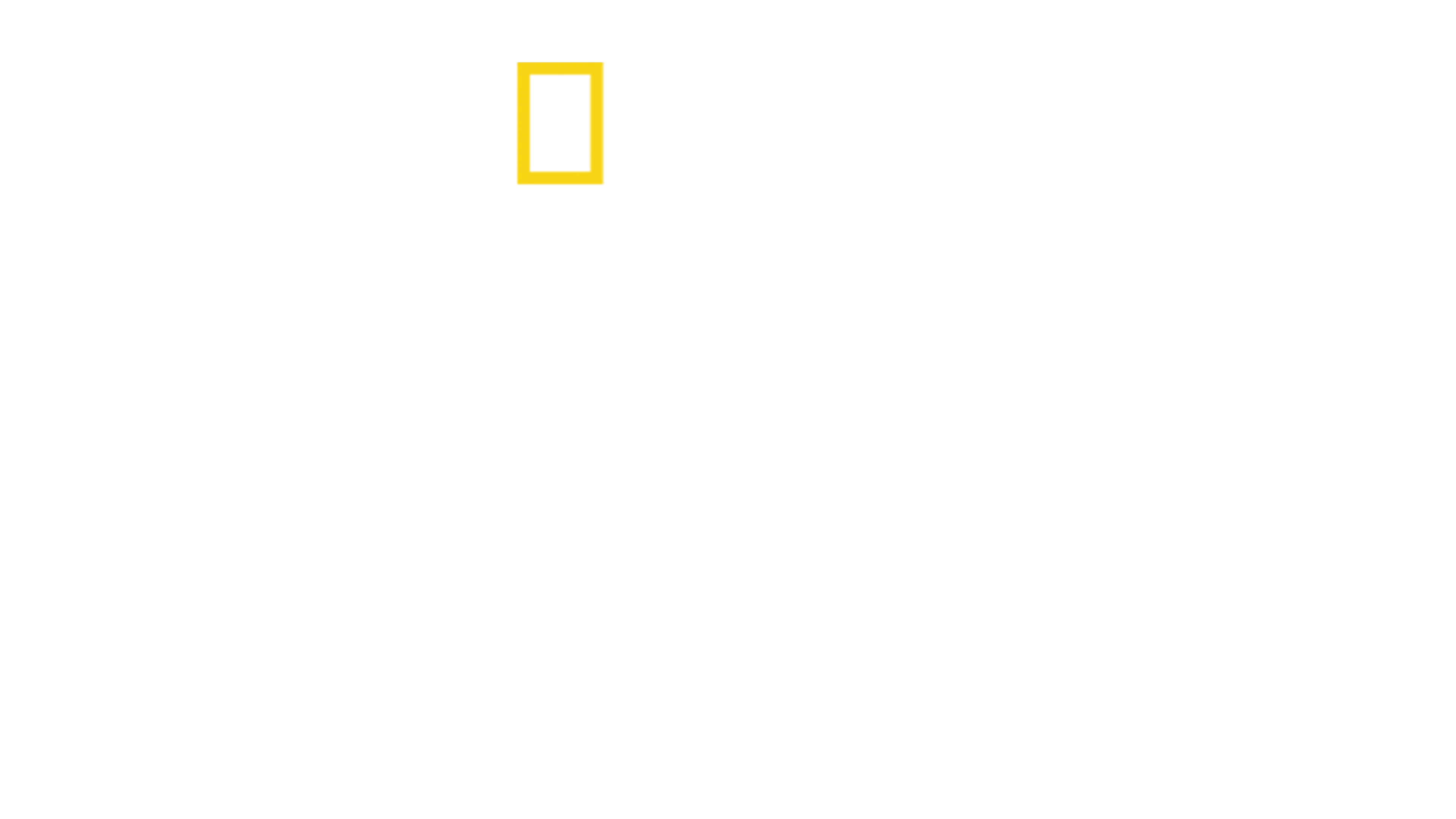 Μυστικά του Ζωολογικού Κήπου