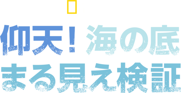 仰天！海の底まる見え検証
