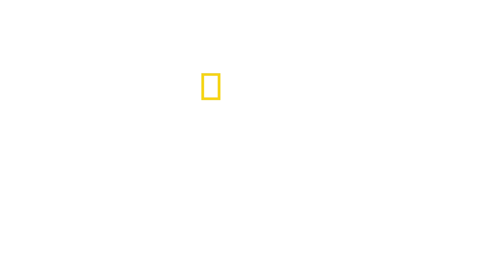 Akashinga : La guerre de l'ivoire