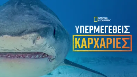 thumbnail - Υπερμεγέθεις Καρχαρίες