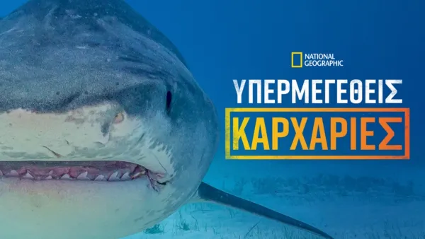 thumbnail - Υπερμεγέθεις Καρχαρίες