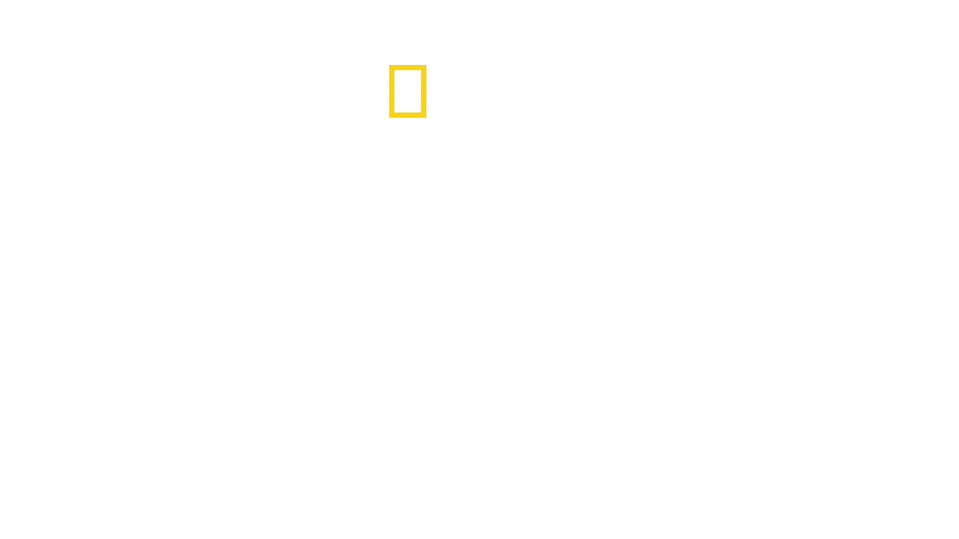 Hitlers sidste kampe