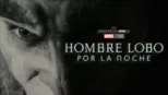 thumbnail - Hombre Lobo por la noche