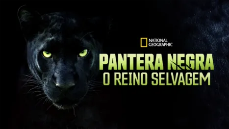 thumbnail - Pantera Negra: O Reino Selvagem