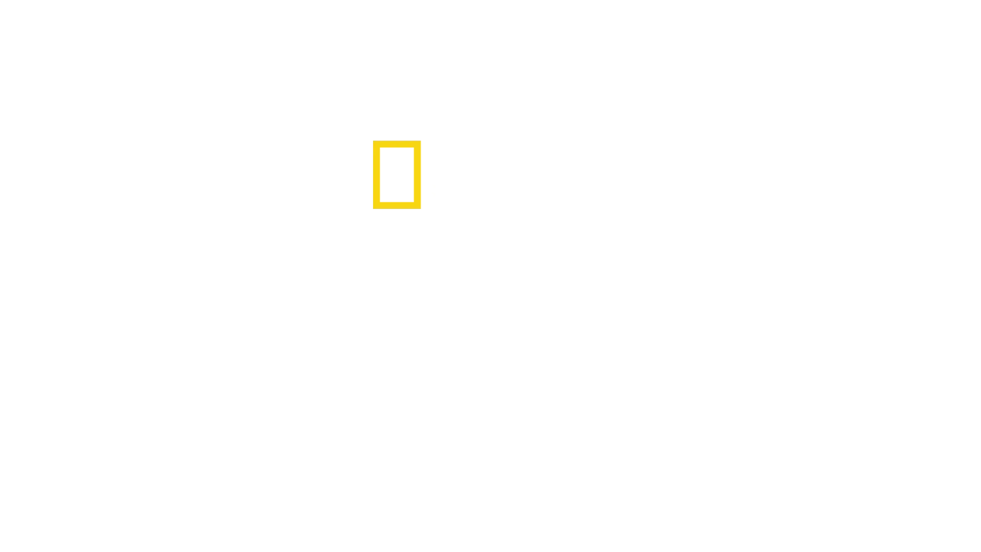 洞穴救援行動