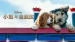 thumbnail - 小姐和流浪汉