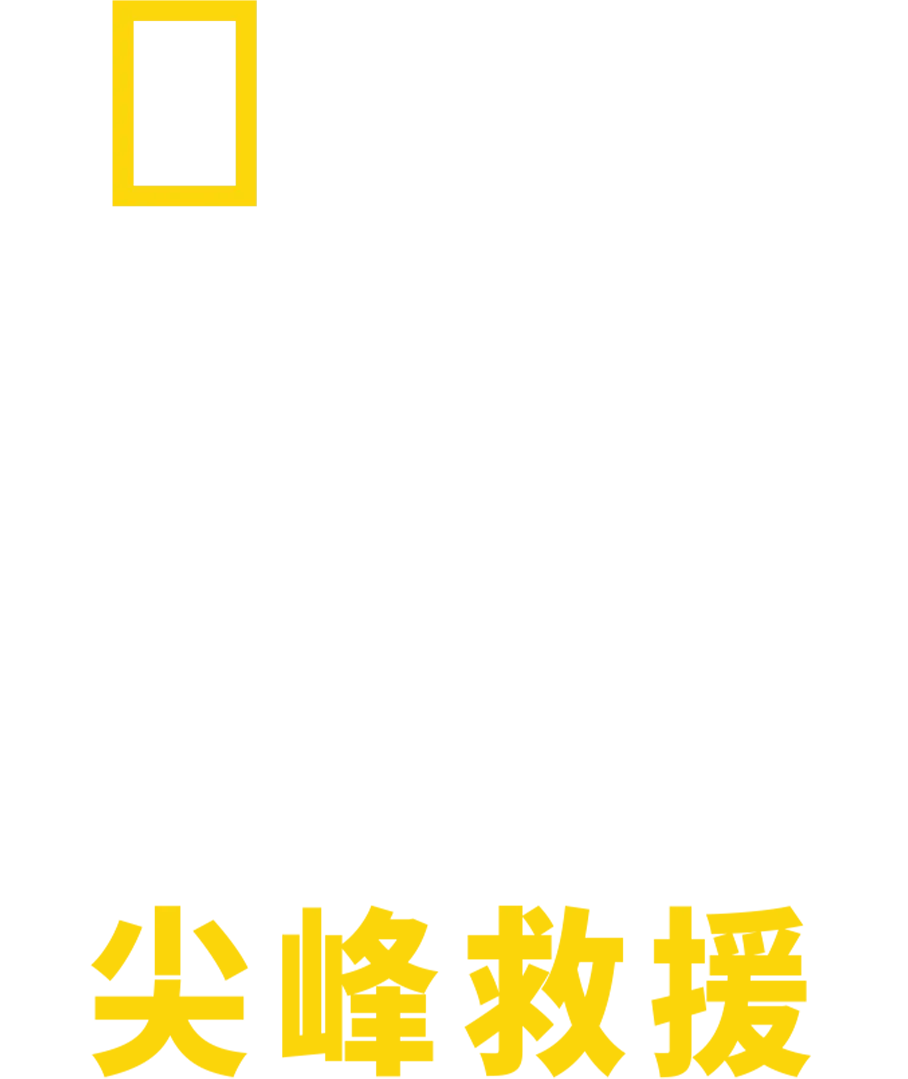 海嘯：尖峰救援