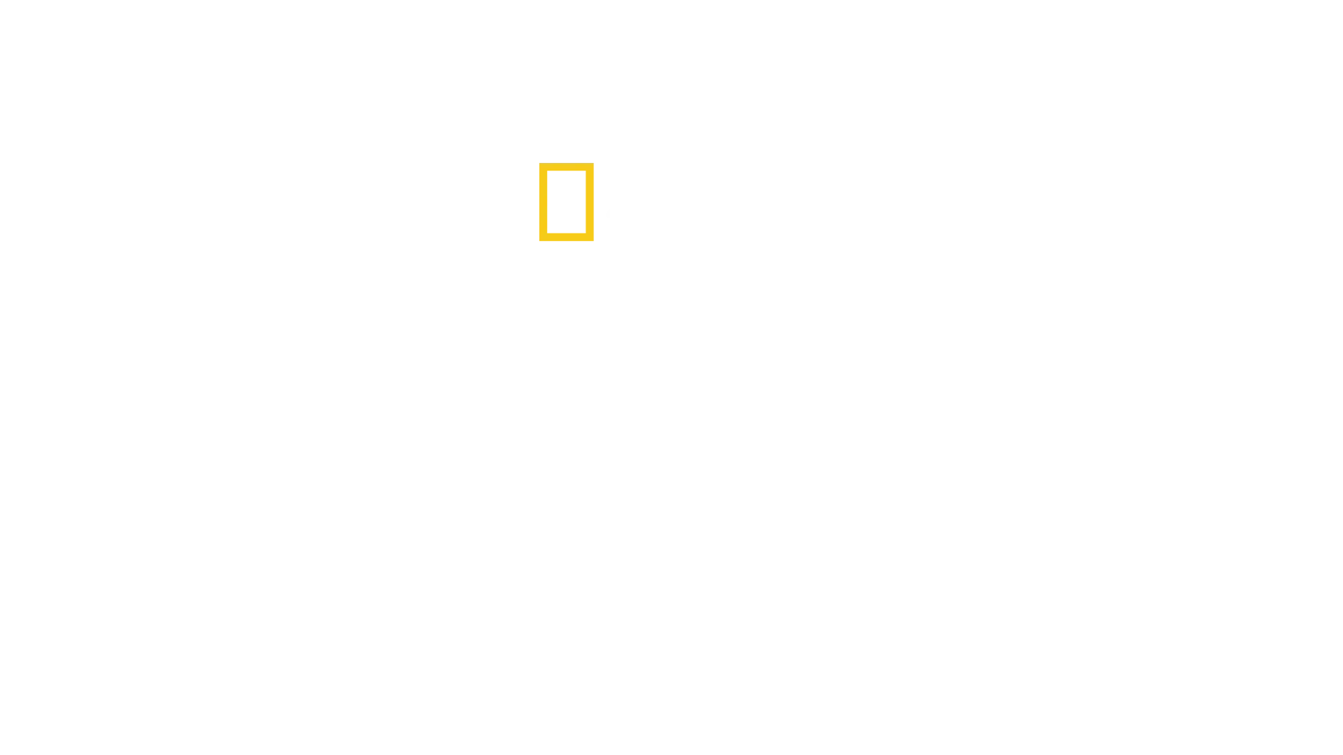 La forêt amazonienne : notre terre