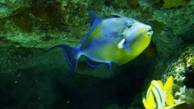 thumbnail - S1:E3 All Hail The Queen