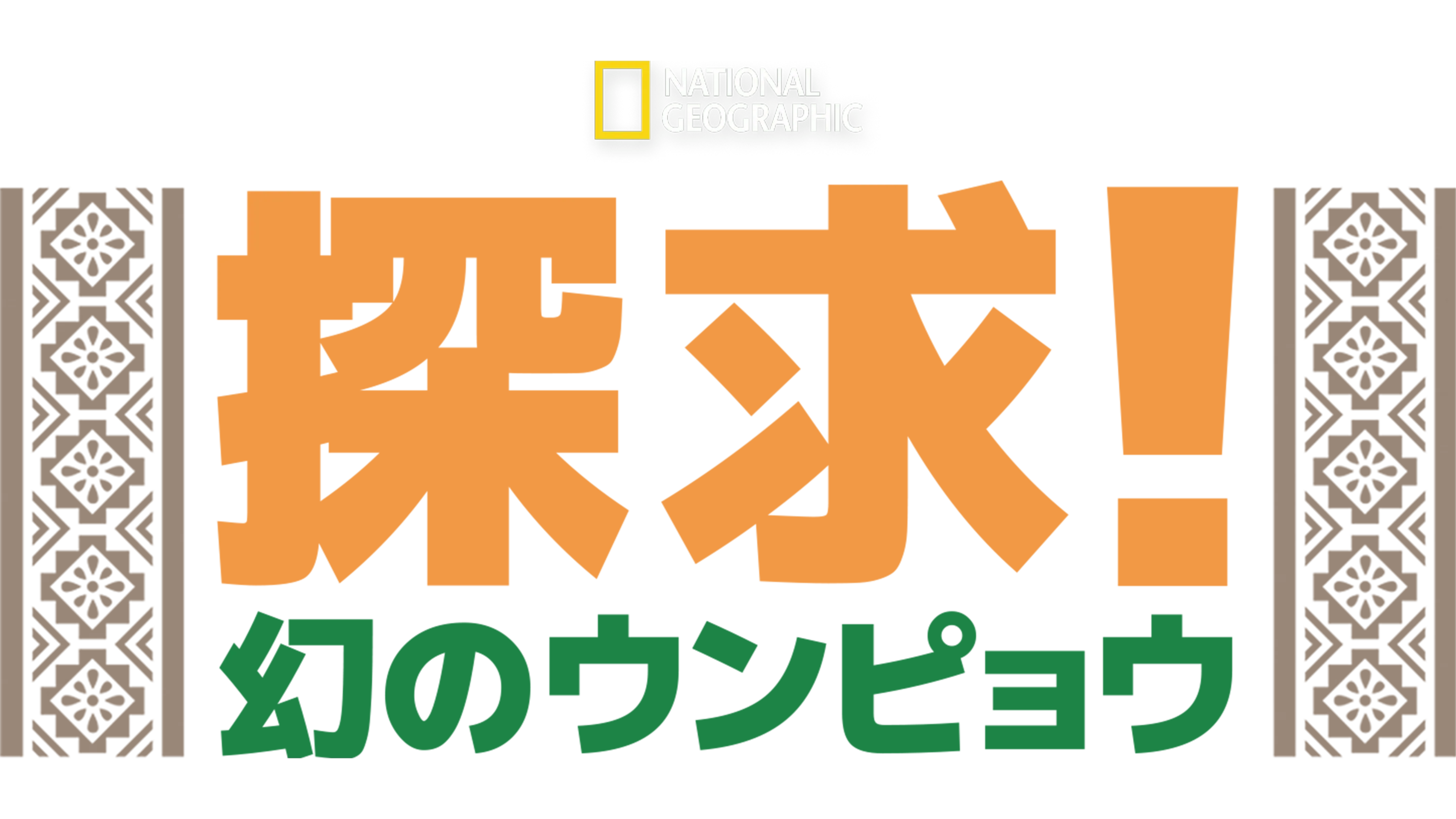 探求！幻のウンピョウ