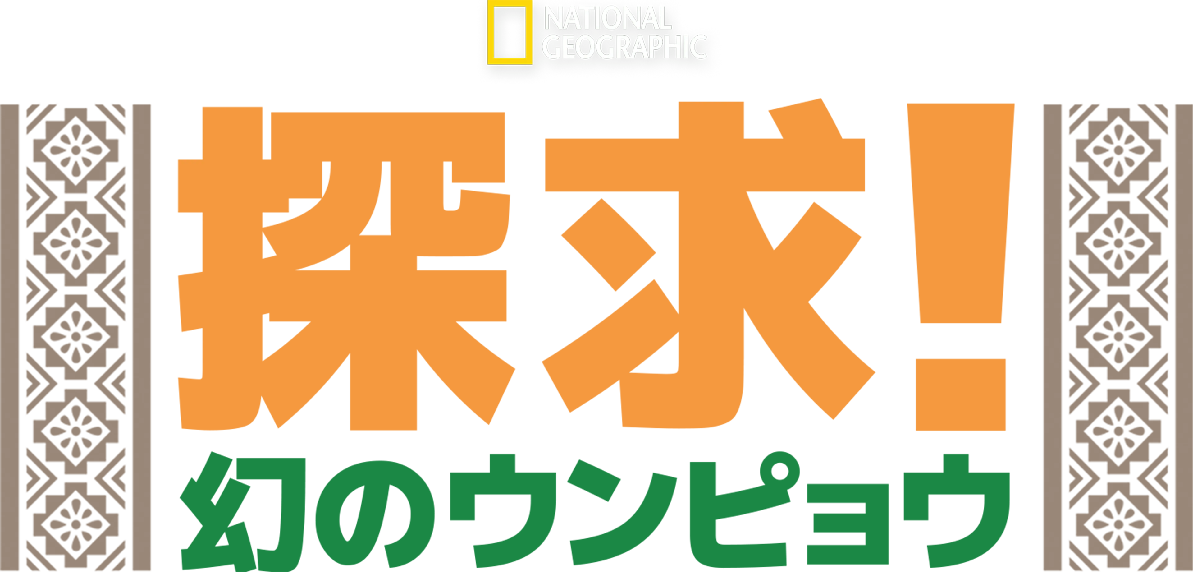 探求！幻のウンピョウ