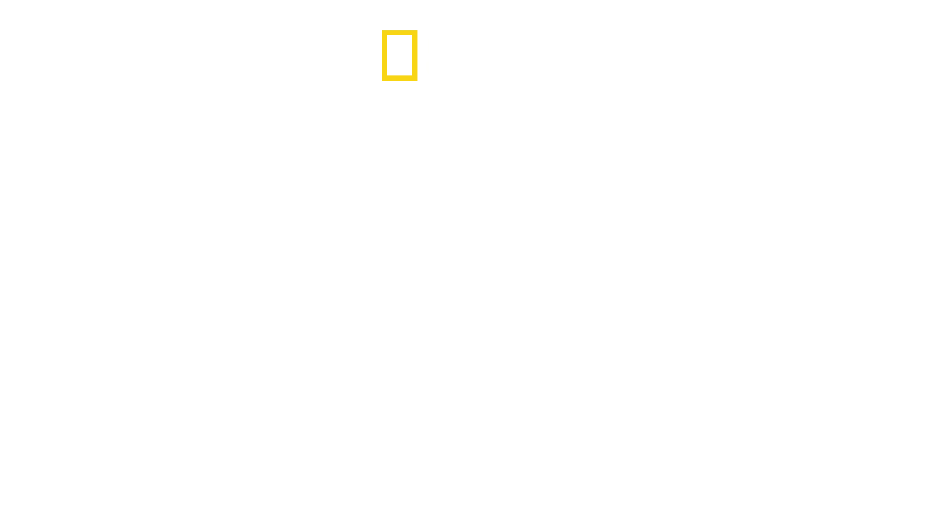Lo squalo più pericoloso del mondo