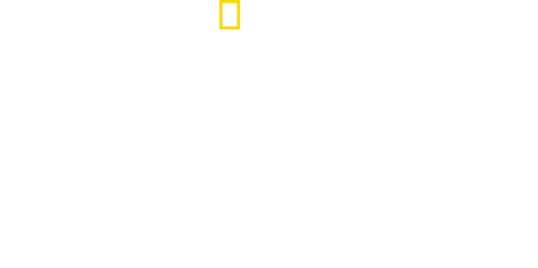 Lo squalo più pericoloso del mondo