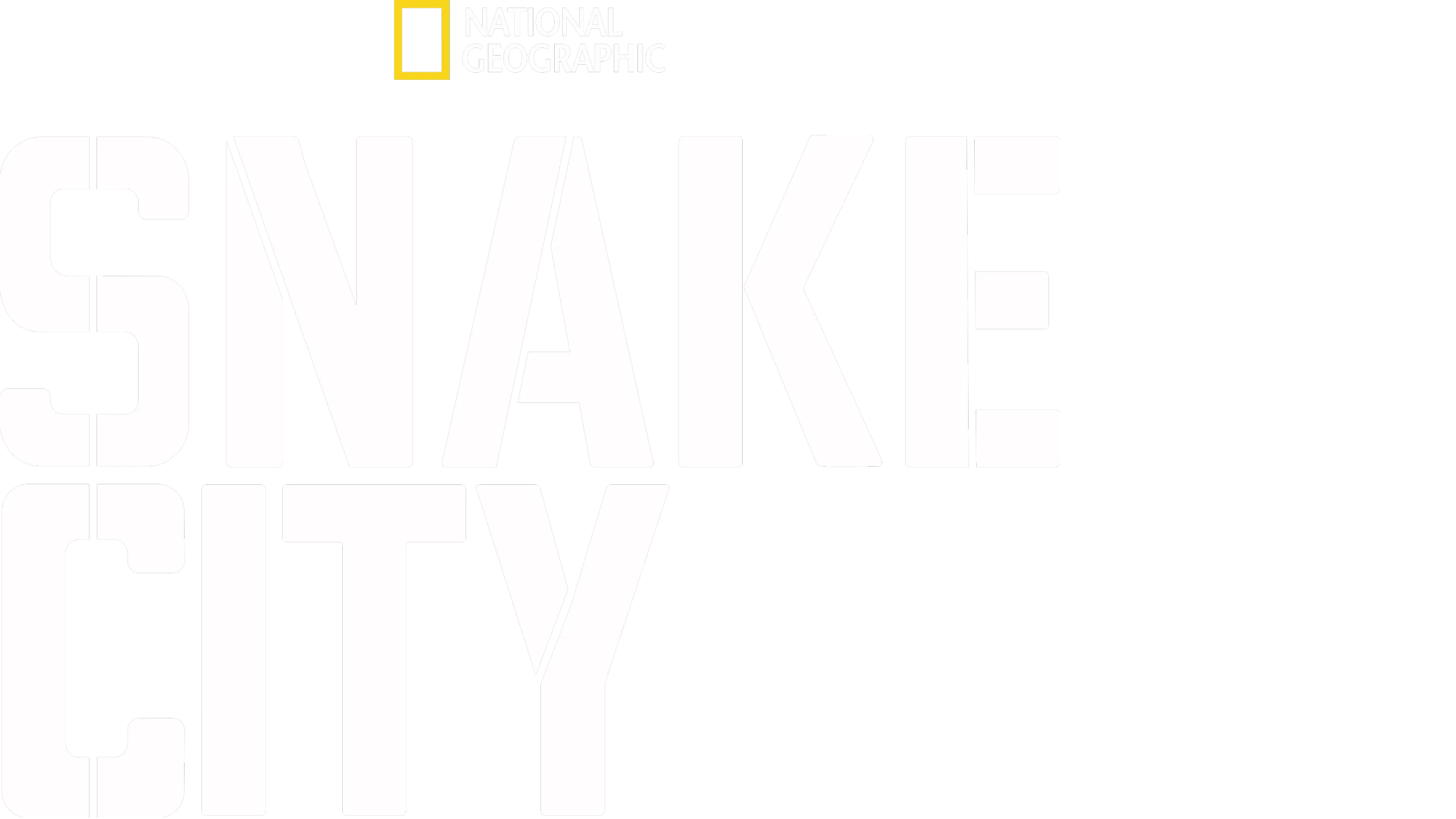 Snake City