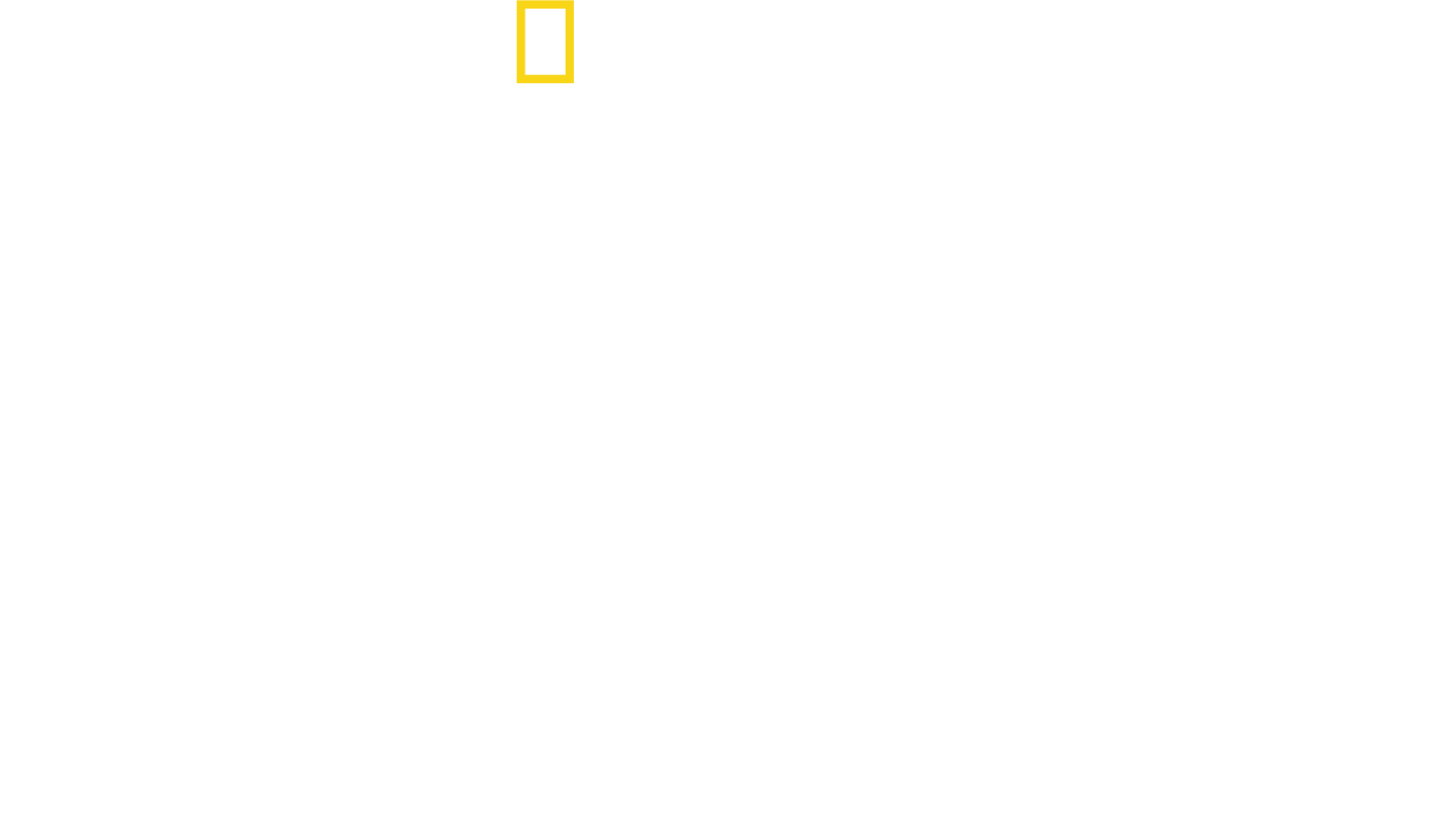 Cei mai iubiți rechini