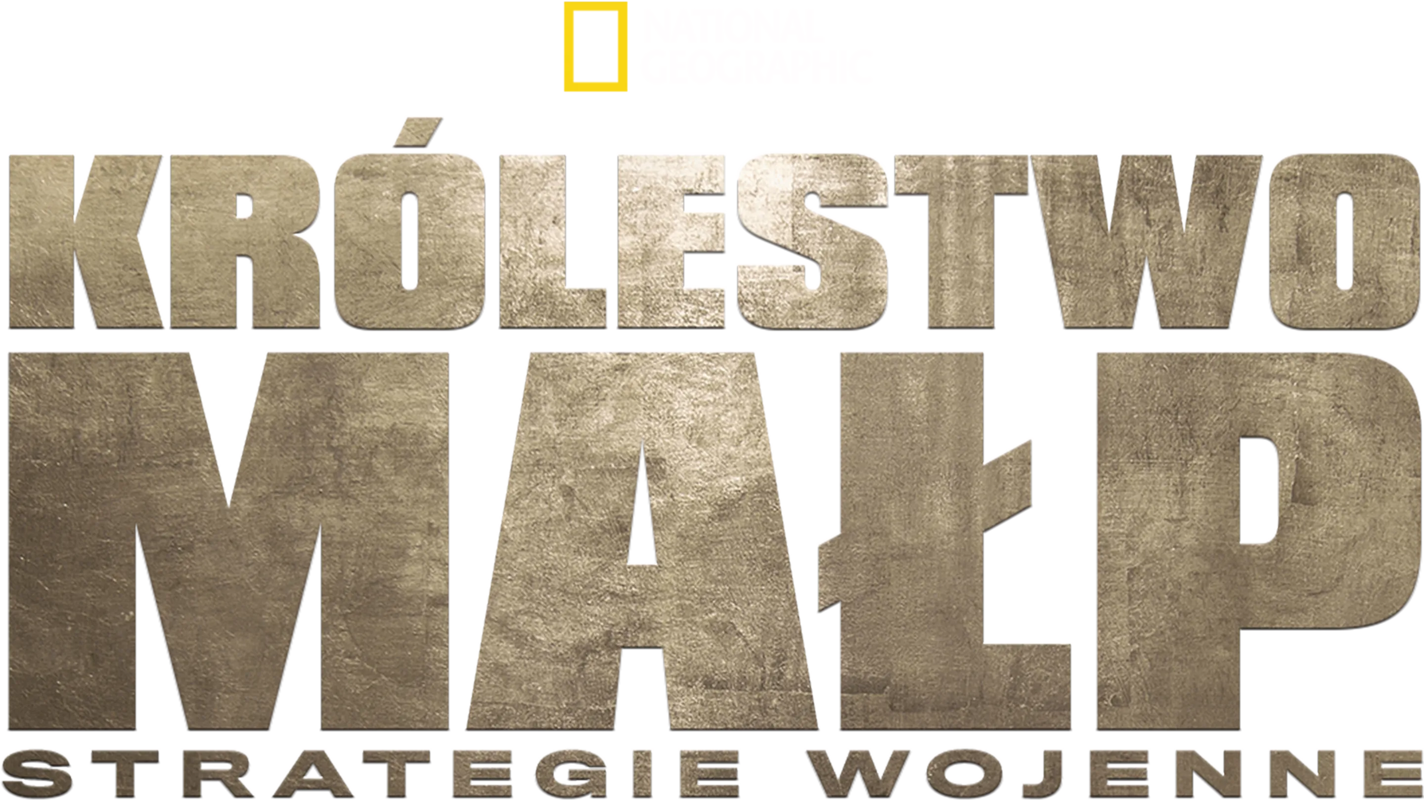 Królestwo małp: strategie wojenne