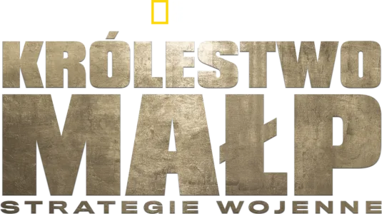 Królestwo małp: strategie wojenne