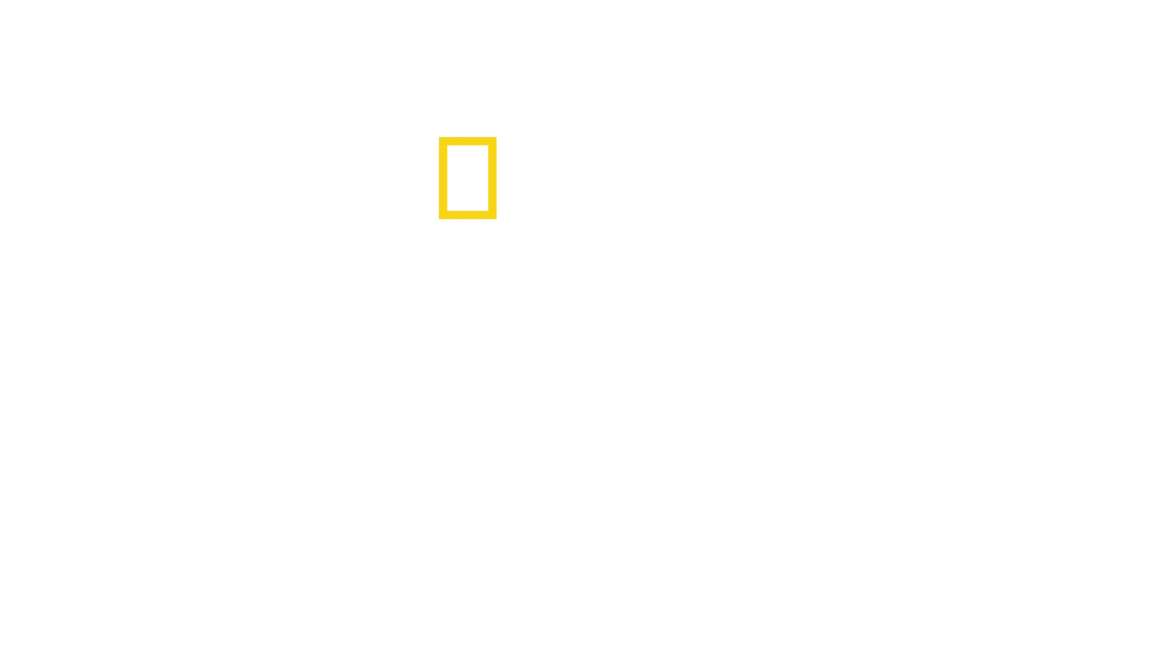 Potwory z mrocznych otchłani