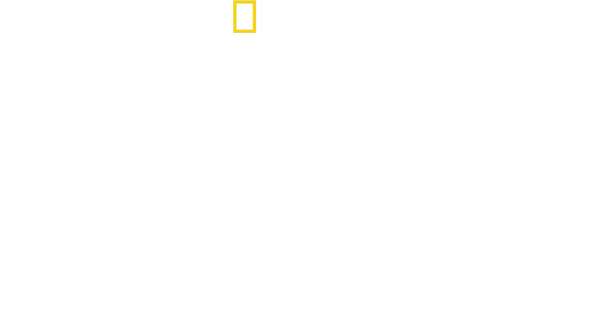 Secrets Of The Zoo