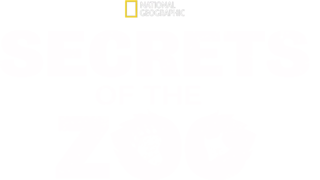 Secrets Of The Zoo