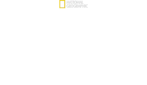 Secrets Of The Zoo