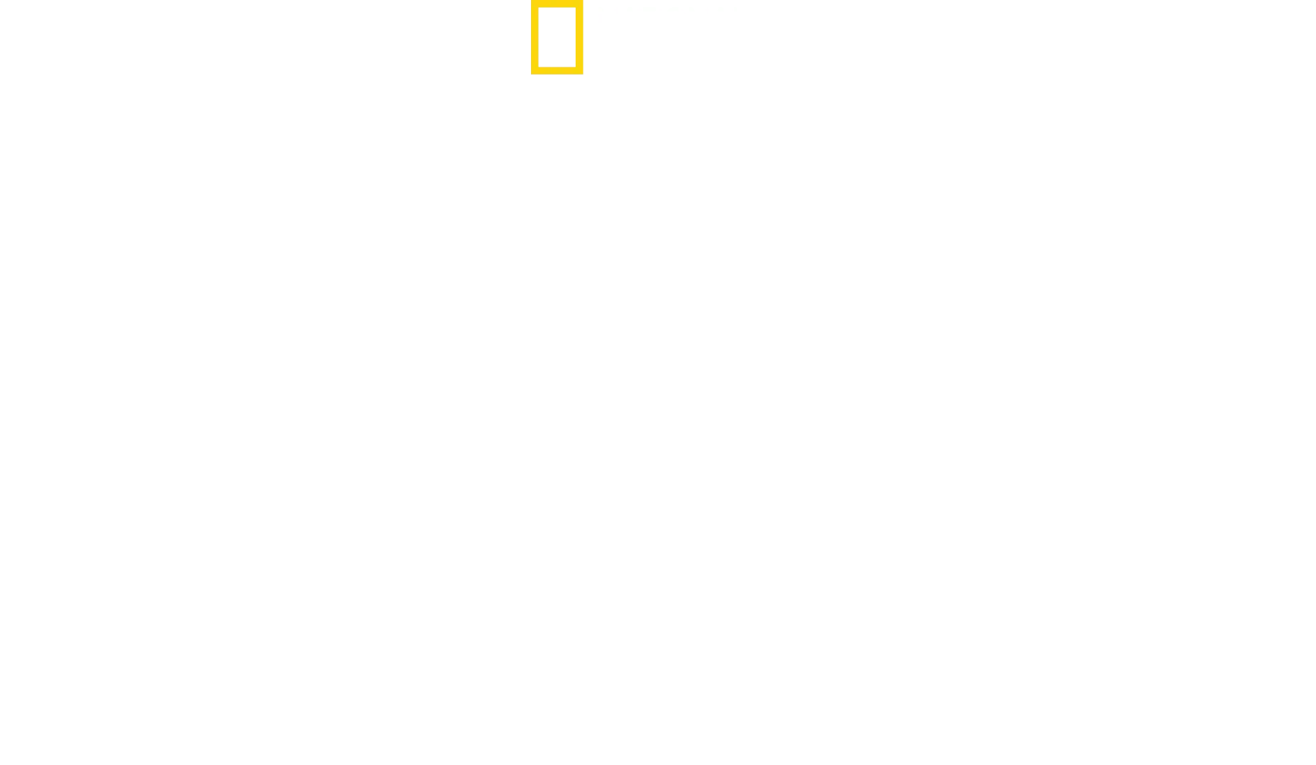 Secrets Of The Zoo
