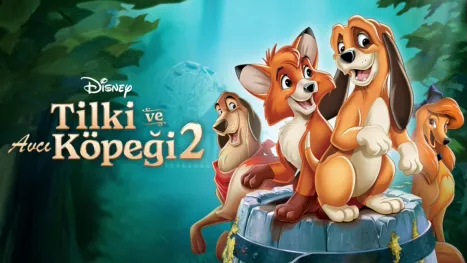thumbnail - Tilki ve Avcı Köpeği 2