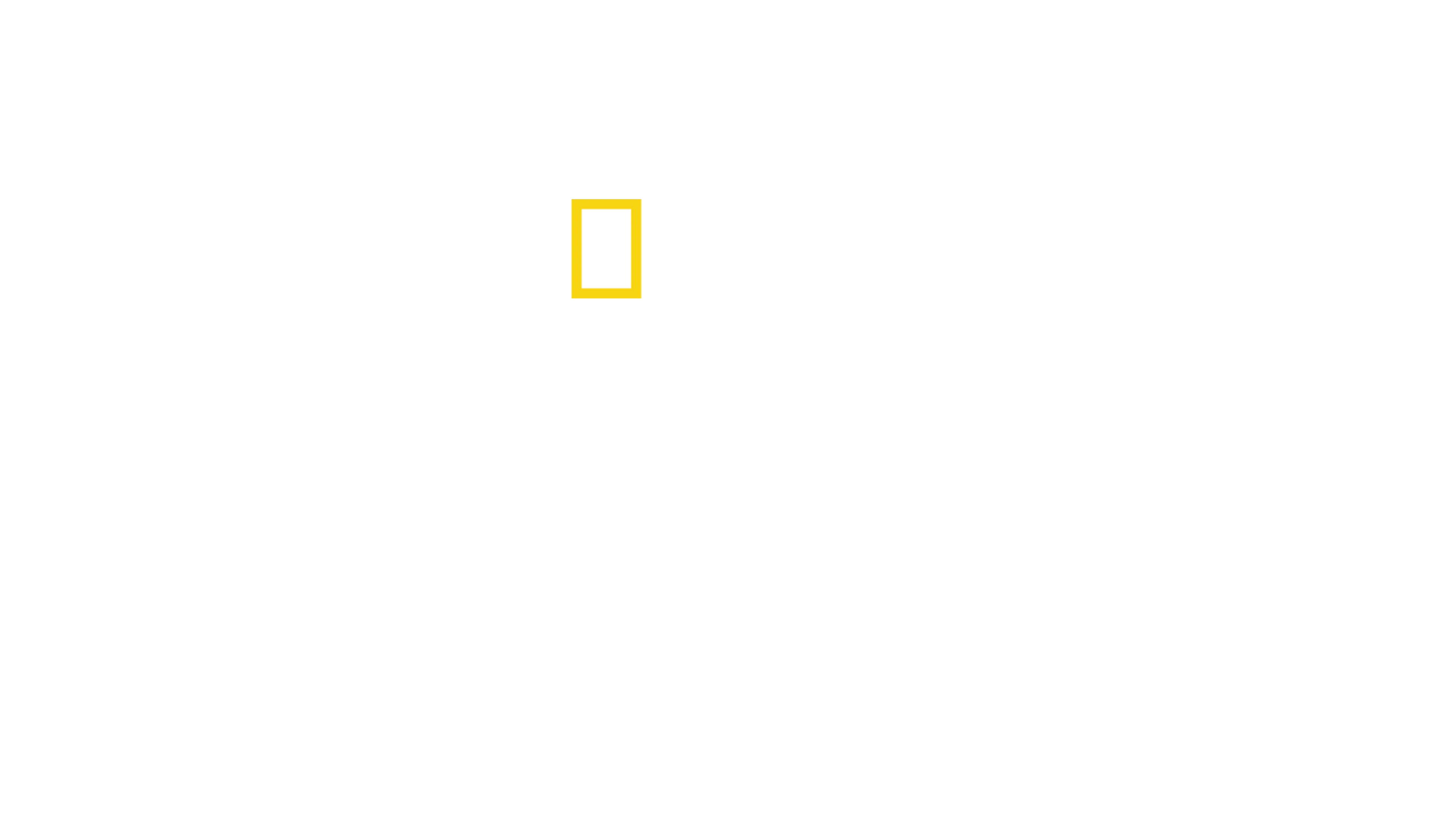 土拨鼠大宅门