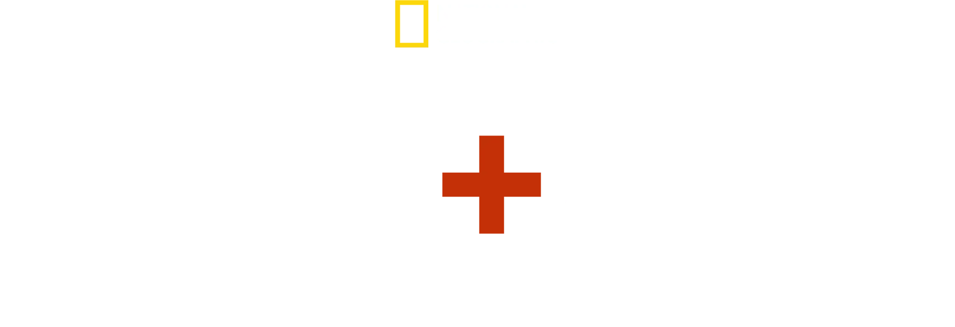 Láska+vojna