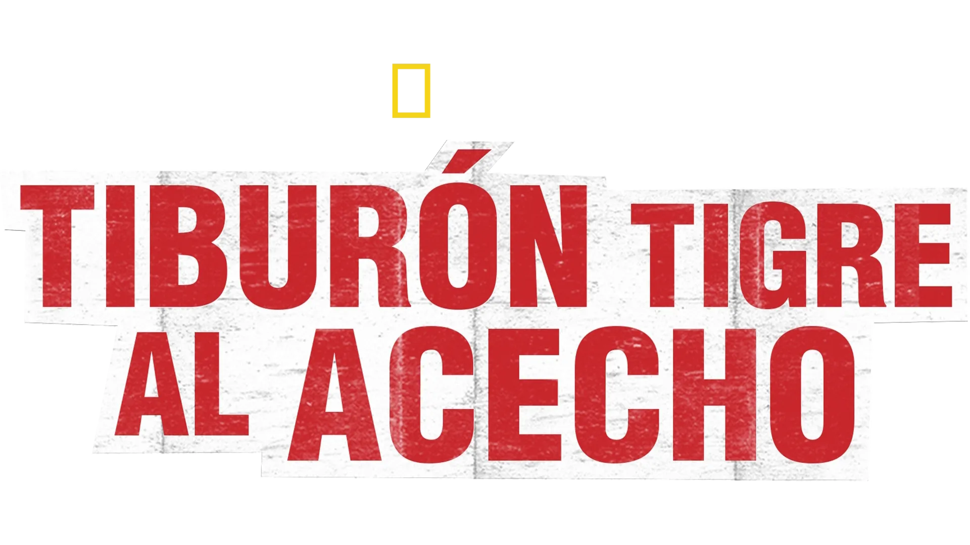 Tiburón tigre al acecho