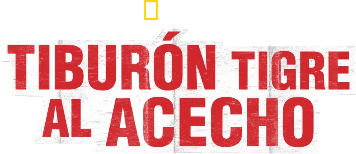 Tiburón tigre al acecho