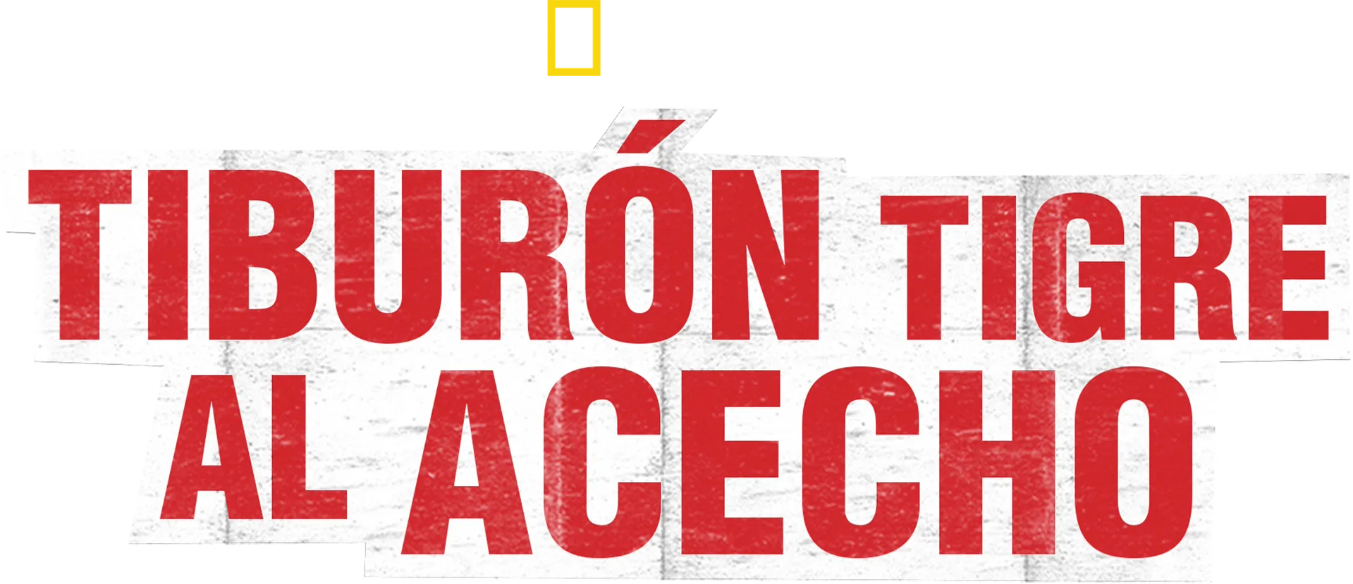 Tiburón tigre al acecho