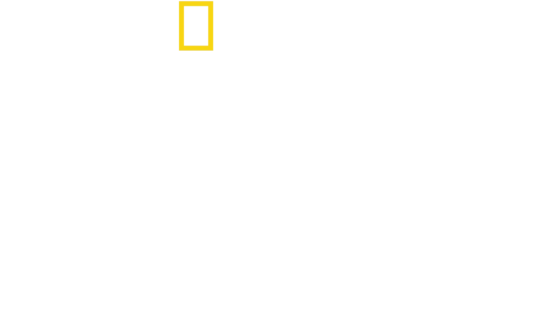 Perdidos en la jungla