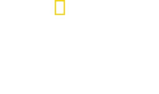 Perdidos en la jungla