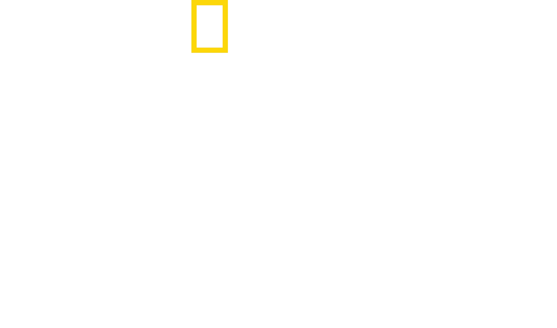 Perdidos en la jungla